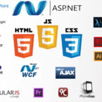 Software